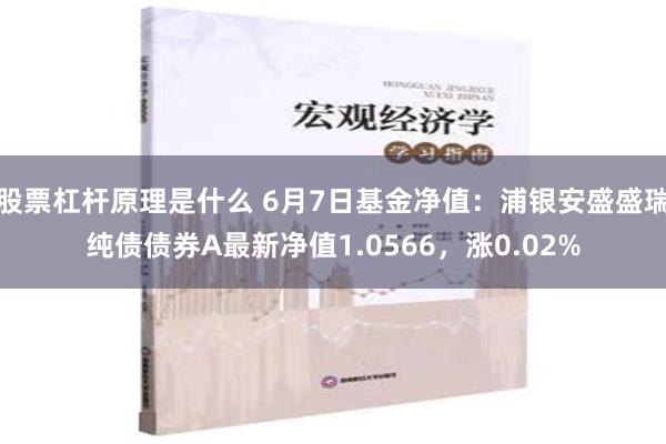 股票杠杆原理是什么 6月7日基金净值：浦银安盛盛瑞纯债债券A最新净值1.0566，涨0.02%