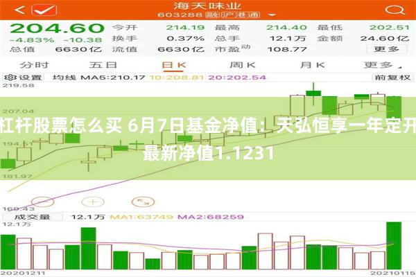 杠杆股票怎么买 6月7日基金净值：天弘恒享一年定开最新净值1.1231