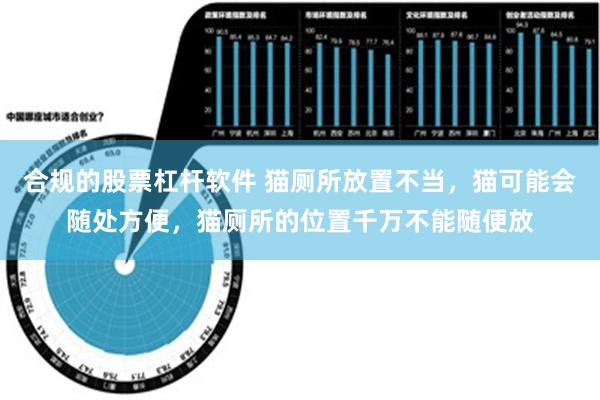 合规的股票杠杆软件 猫厕所放置不当，猫可能会随处方便，猫厕所的位置千万不能随便放