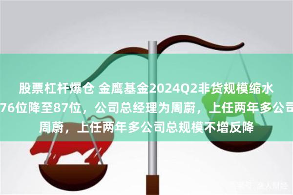 股票杠杆爆仓 金鹰基金2024Q2非货规模缩水74亿，排名从第76位降至87位，公司总经理为周蔚，上任两年多公司总规模不增反降