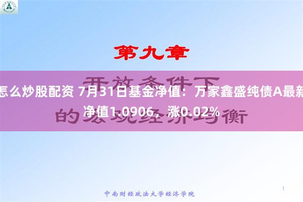 怎么炒股配资 7月31日基金净值：万家鑫盛纯债A最新净值1.0906，涨0.02%