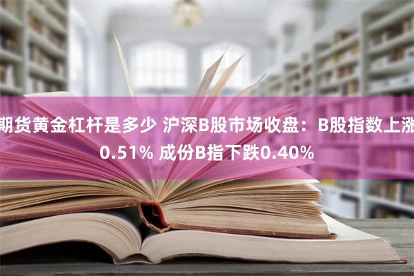 期货黄金杠杆是多少 沪深B股市场收盘：B股指数上涨0.51% 成份B指下跌0.40%