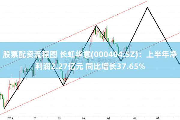 股票配资流程图 长虹华意(000404.SZ)：上半年净利润2.27亿元 同比增长37.65%