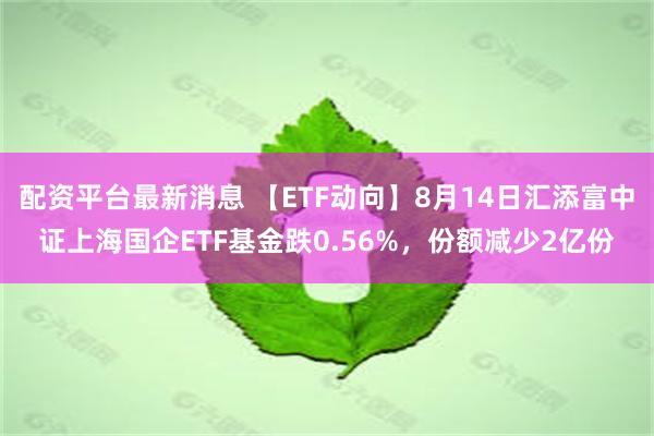 配资平台最新消息 【ETF动向】8月14日汇添富中证上海国企ETF基金跌0.56%，份额减少2亿份