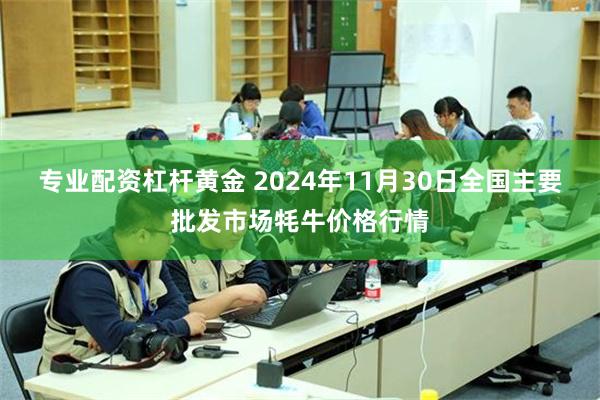 专业配资杠杆黄金 2024年11月30日全国主要批发市场牦牛价格行情