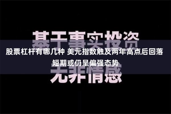 股票杠杆有哪几种 美元指数触及两年高点后回落 短期或仍呈偏强态势