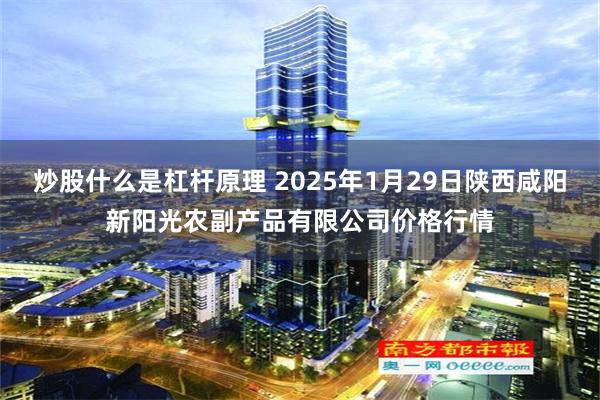 炒股什么是杠杆原理 2025年1月29日陕西咸阳新阳光农副产品有限公司价格行情