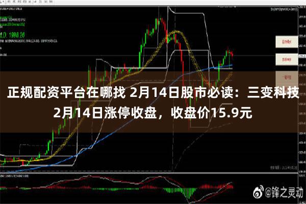 正规配资平台在哪找 2月14日股市必读：三变科技2月14日涨停收盘，收盘价15.9元